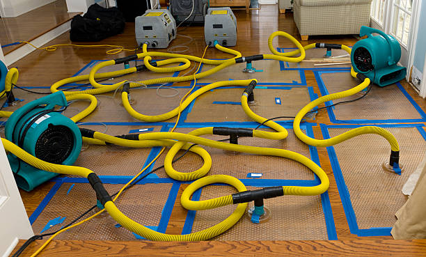 Professional Basement Flood Cleanup technician working in Circleville, OH